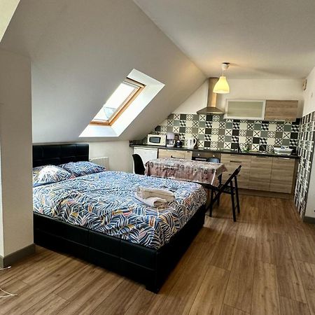 Appartement 4 Personnes En Plein Centre De Colmar Exterior photo